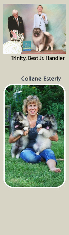 Keeshond Heaven